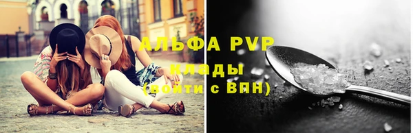 дурь Ельня
