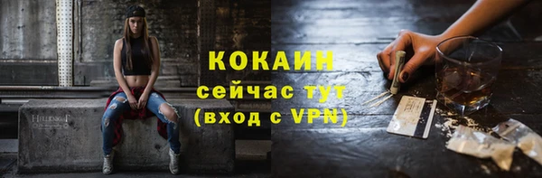 дурь Ельня