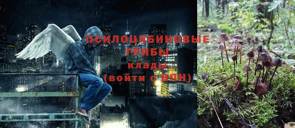 метадон Елизово