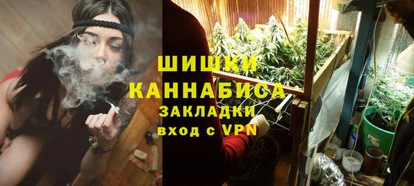 дурь Ельня