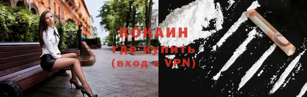 дурь Ельня
