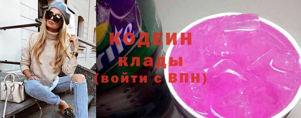 дурь Ельня